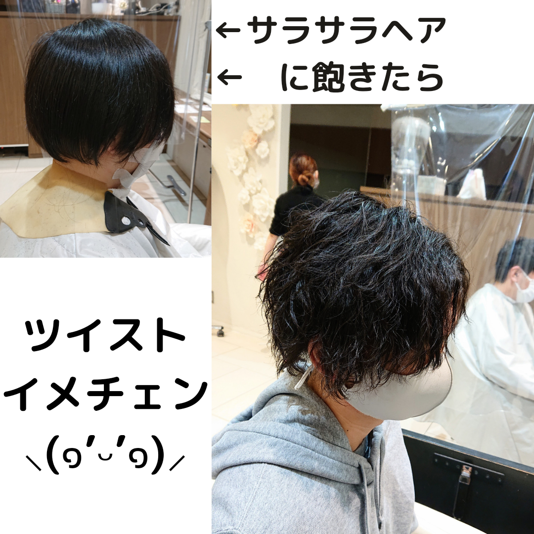 ランダムに動くソフトツイスト