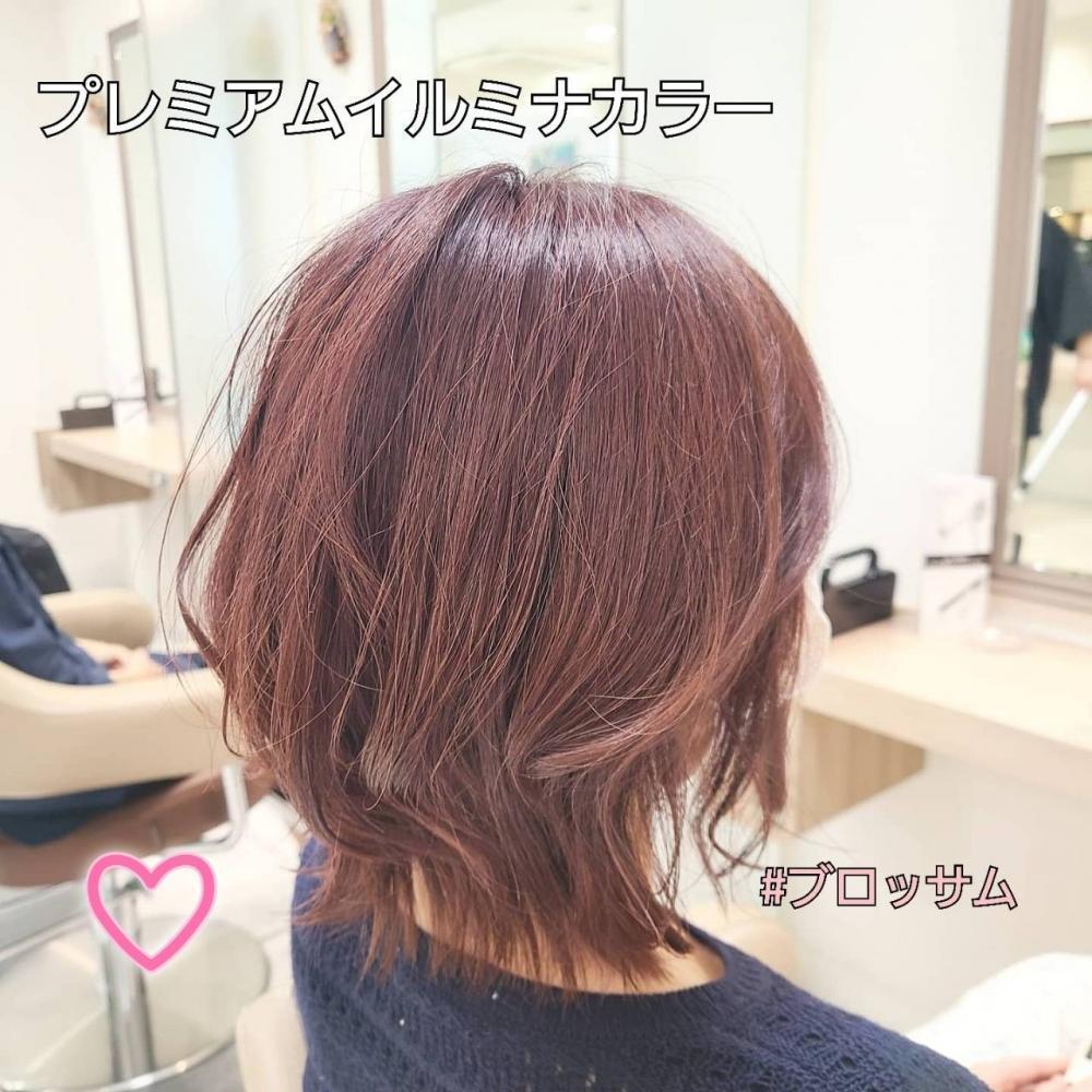 イルミナピンクパープル