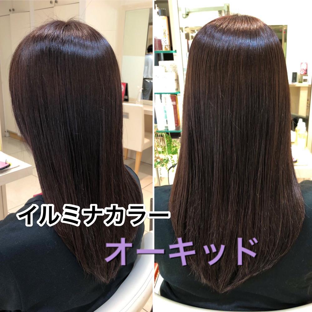 イルミナカラー・オーキッド