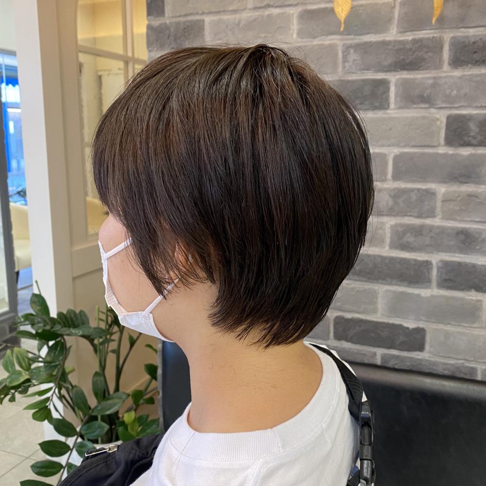 レディースショートスタイル
