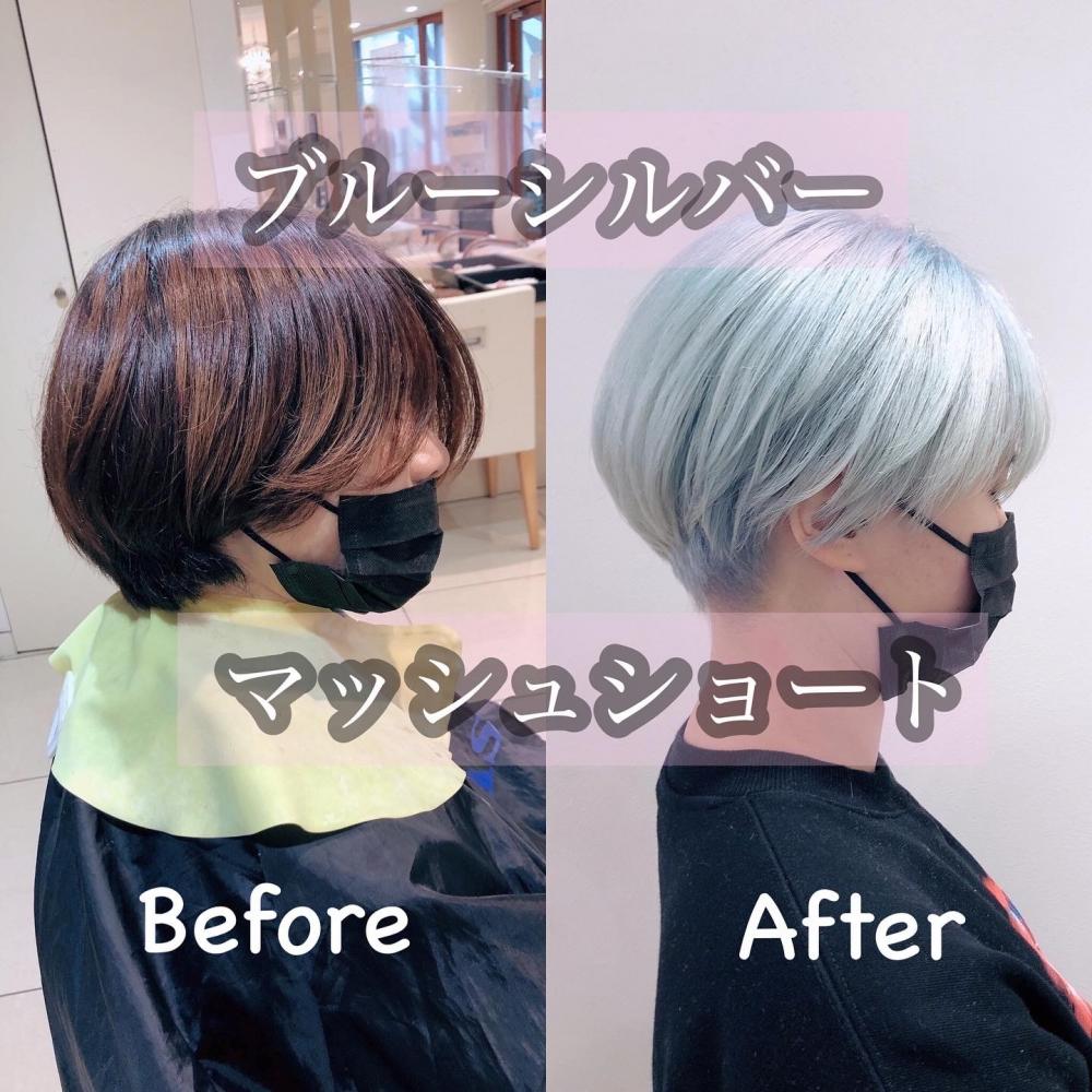 ブルーシルバーショート
