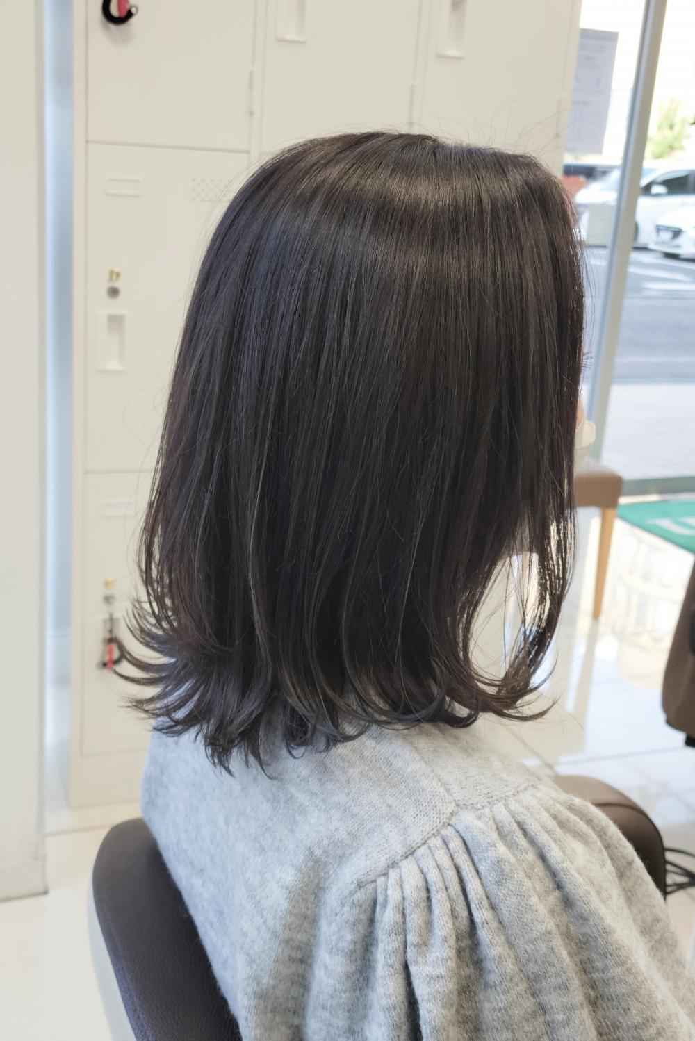 シルバーグレイジュ