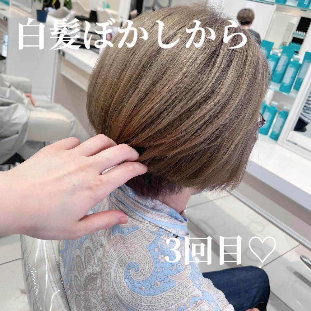 白髪ぼかし×リタッチカラー