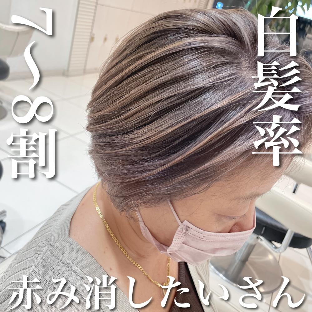 白毛率7〜８割×赤み消したいさん