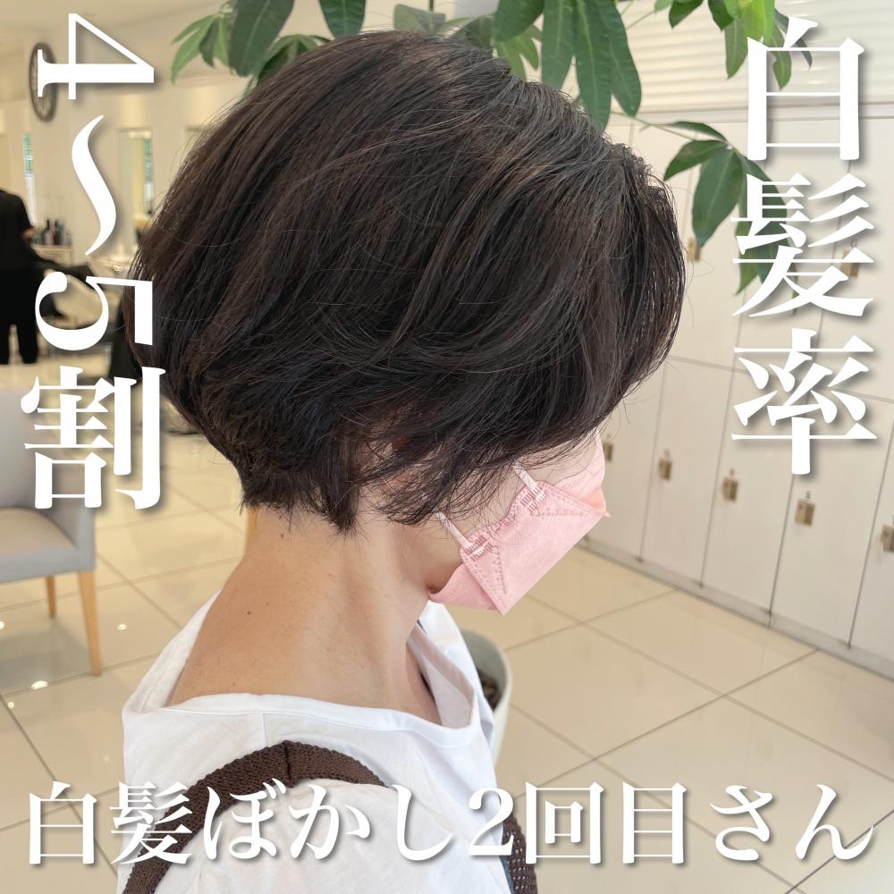 白髪率4〜5割×白髪ぼかし2回目さん