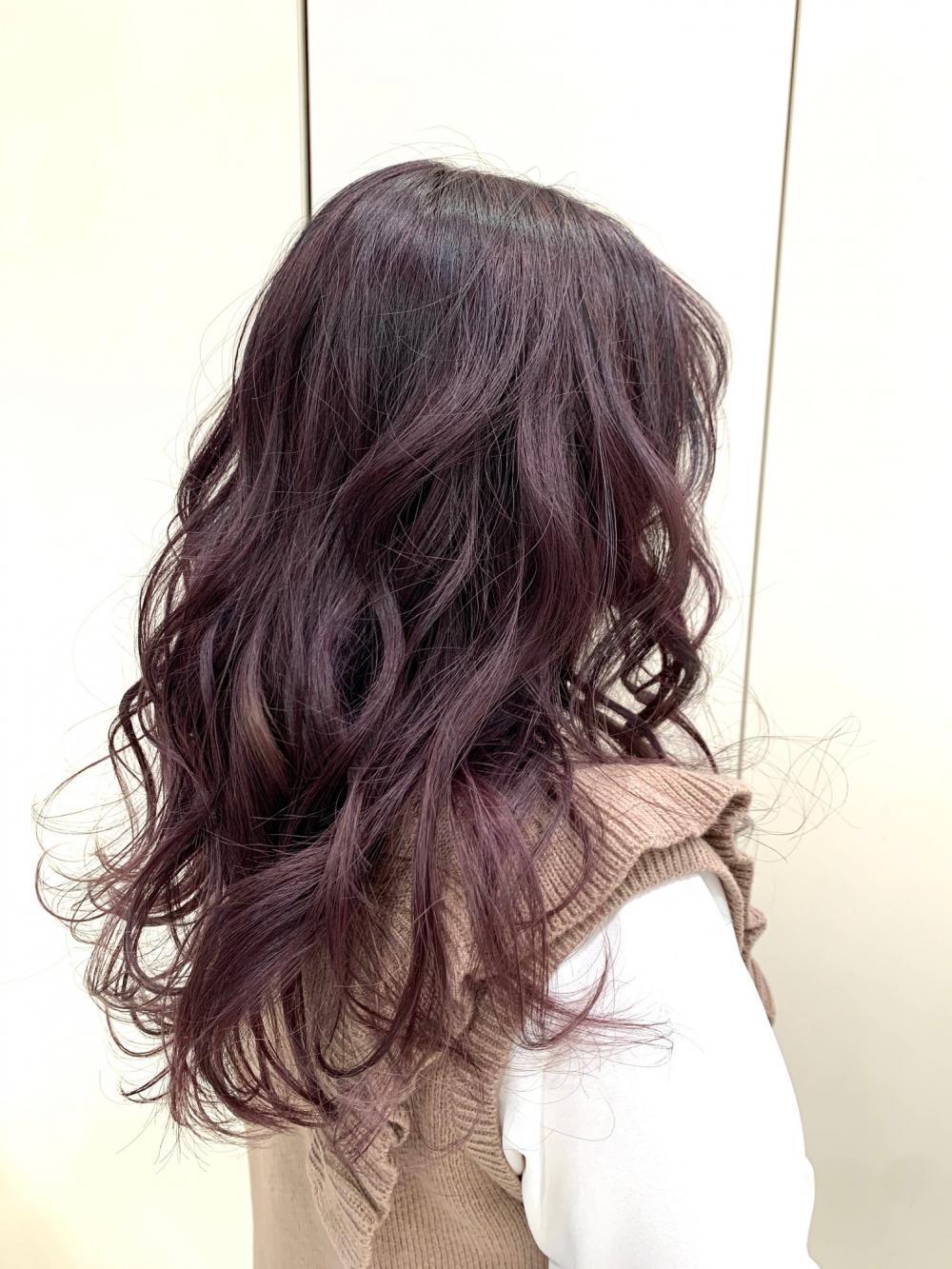 ラベンダー