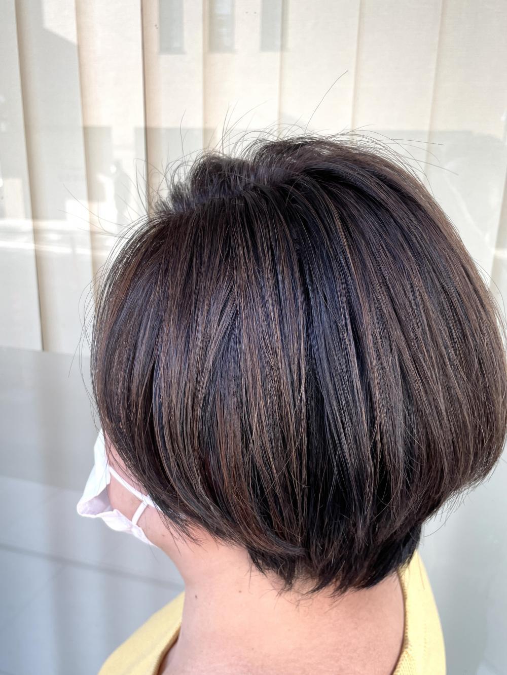 【家郷限定】白髪手術テクニックカラー