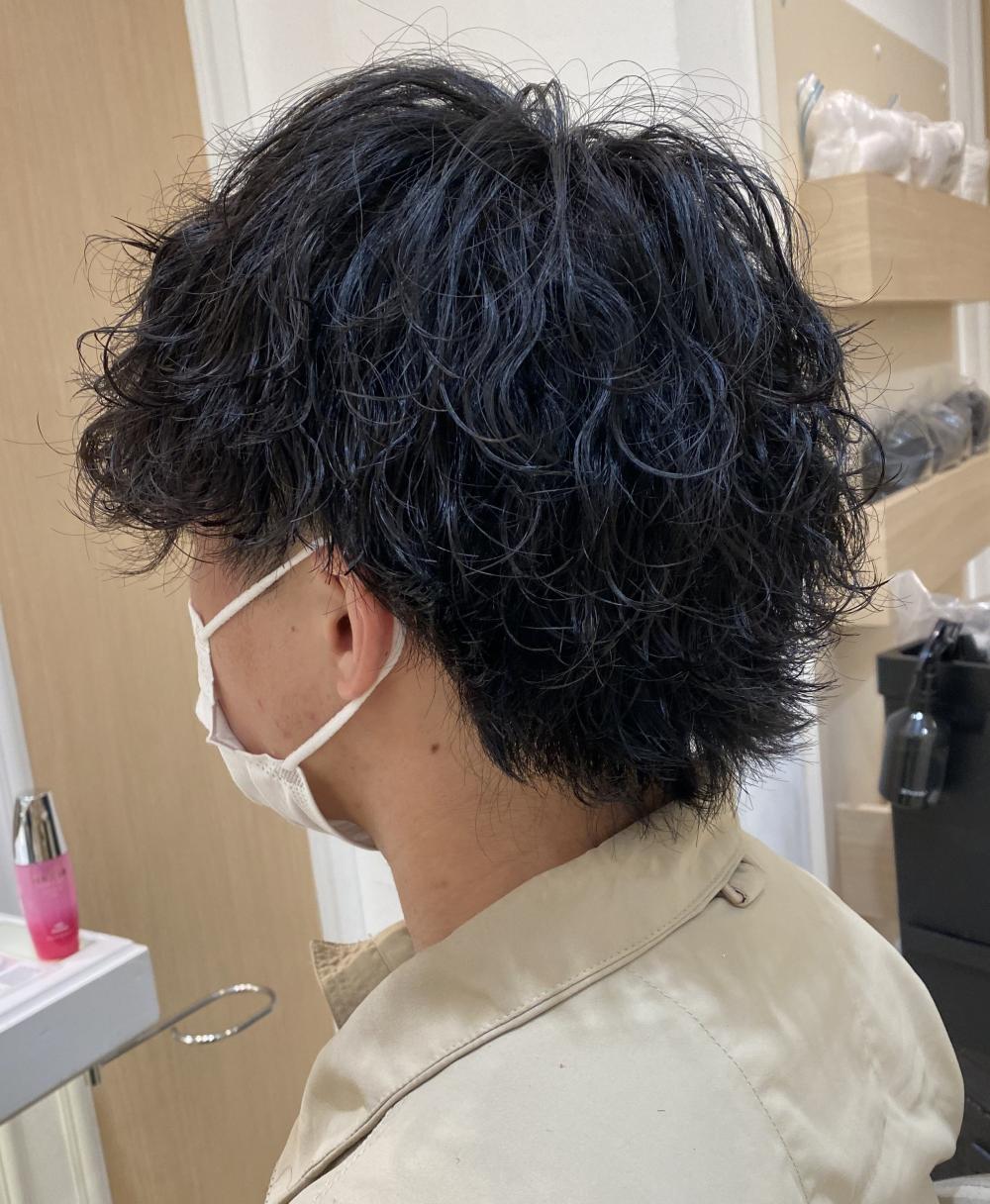 波巻きパーマ×マッシュウルフ｜サブ写真②