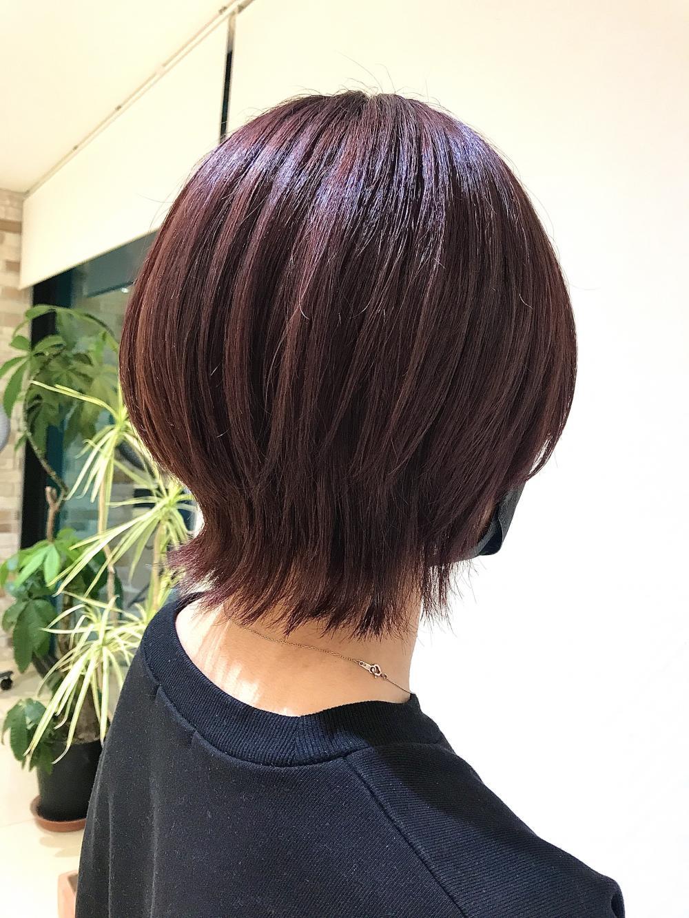 ウルフレイヤー