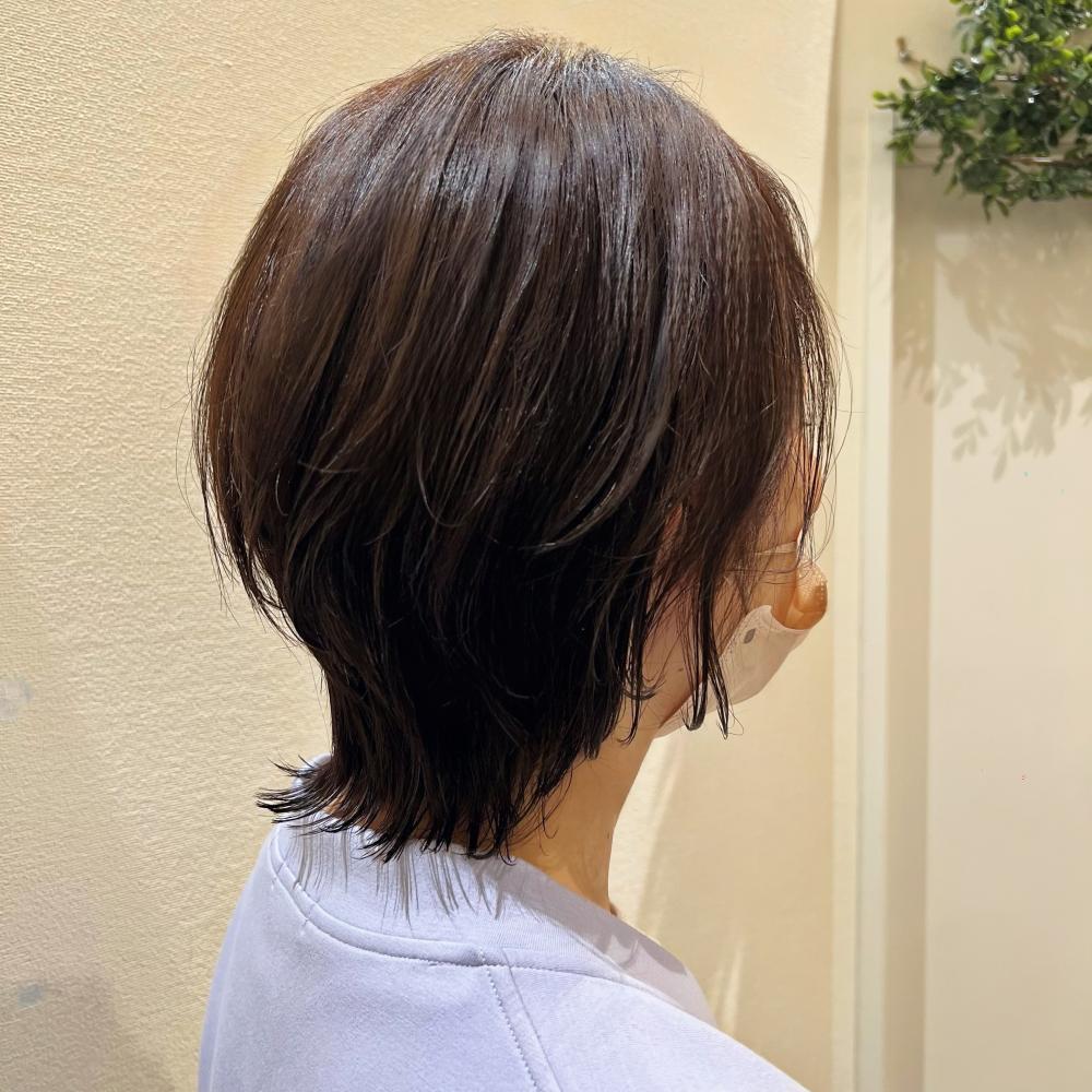 ショート