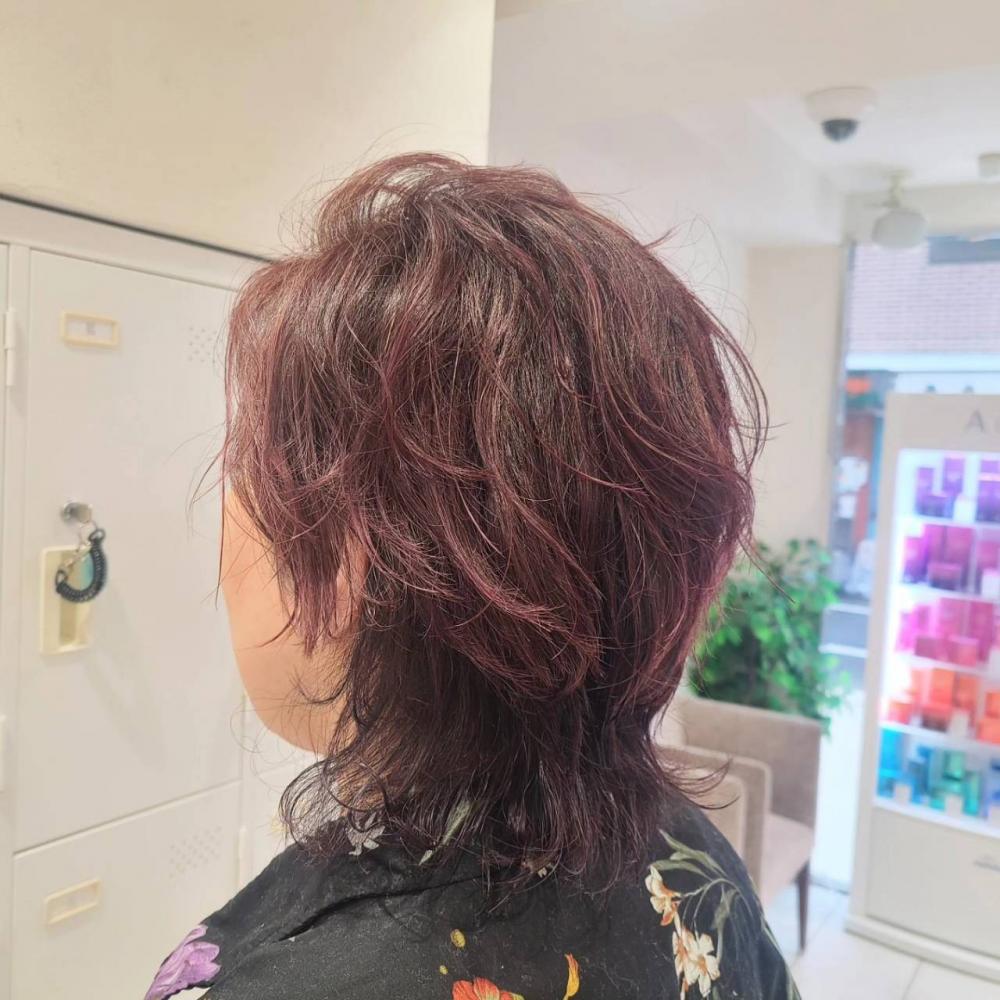 ウルフレイヤー