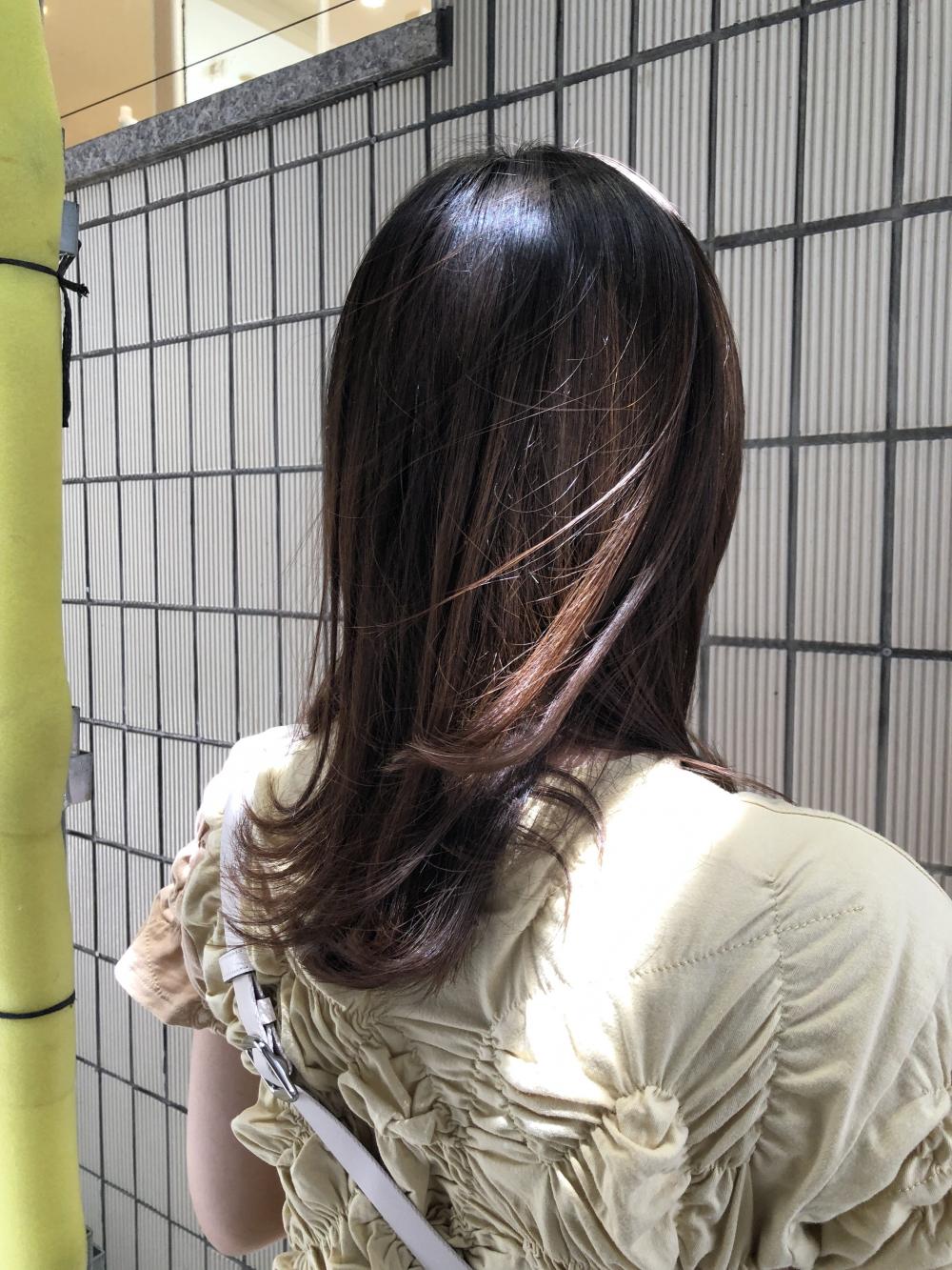 セミロング