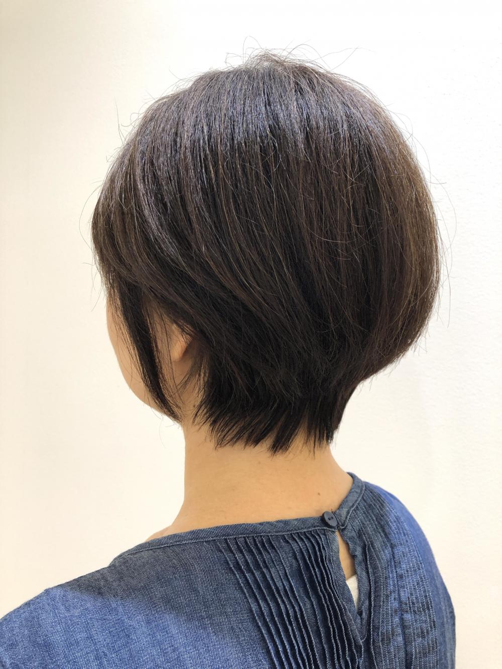 ショート