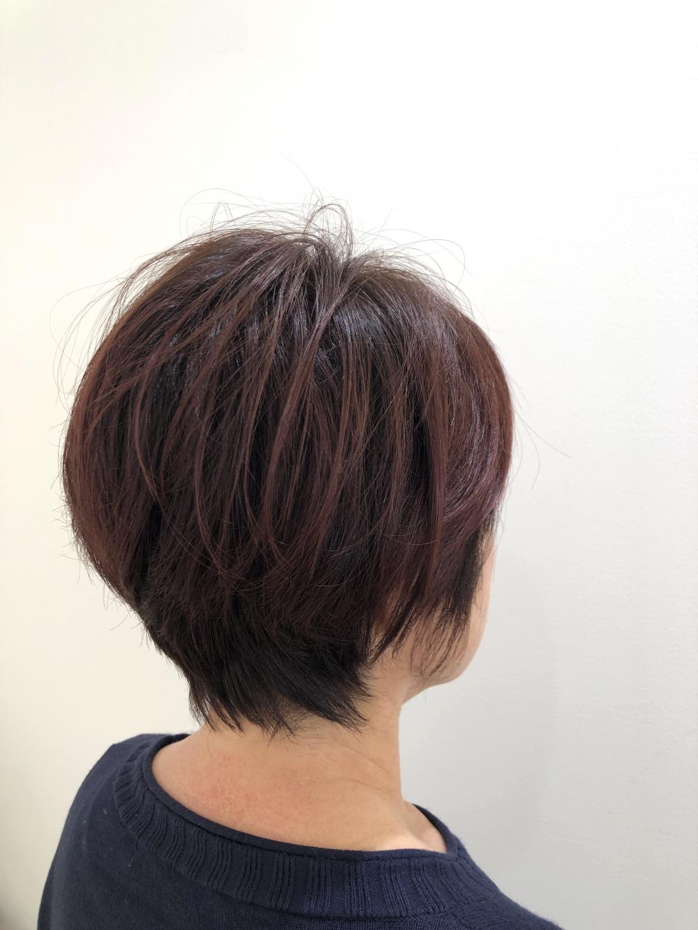 ショート