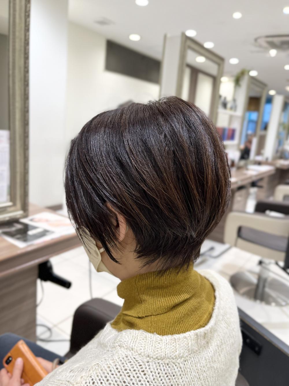 コンパクトショート