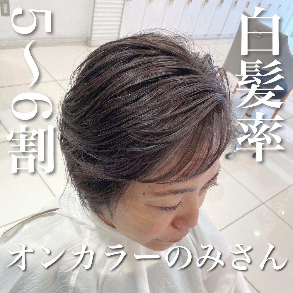 ＼白髪率5～6割×前回のハイライト活かしさん／