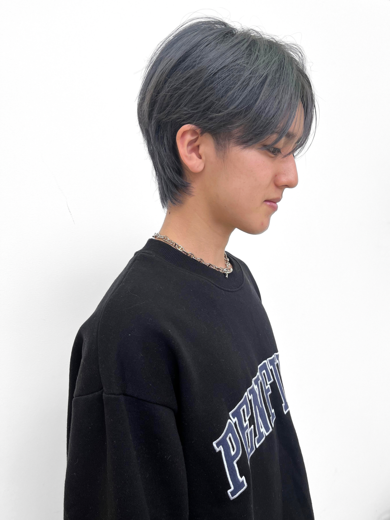 ダブルカラー　ブルーシルバー｜サブ写真②