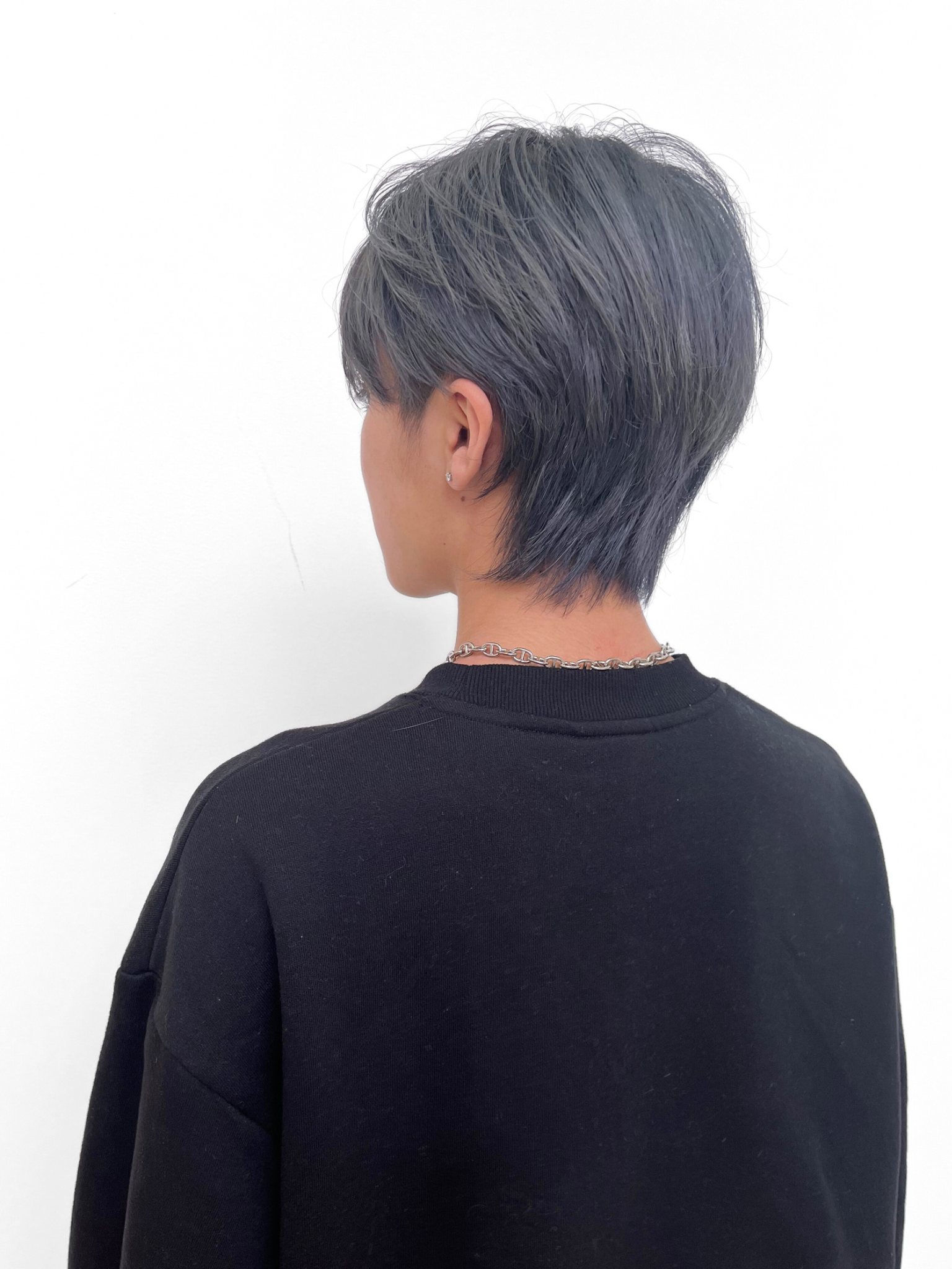 ダブルカラー　ブルーシルバー｜サブ写真③