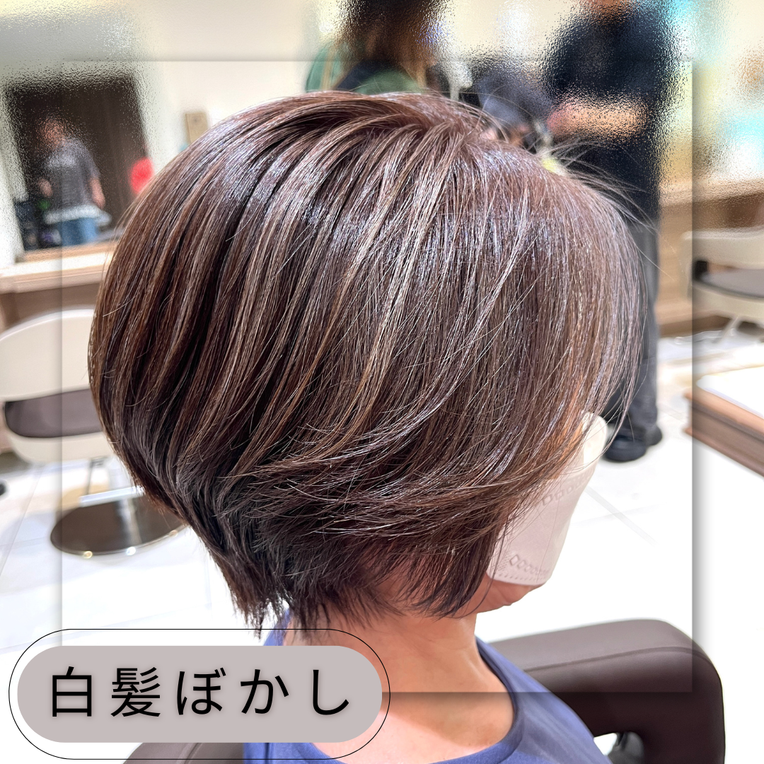 【家郷限定】白髪ぼかしテクニックカラー
