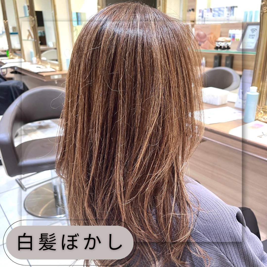 【家郷限定】白髪ぼかしテクニックカラー