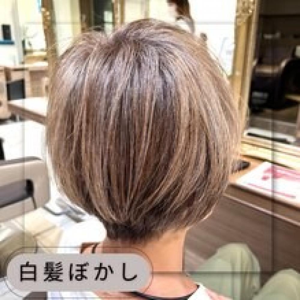 【家郷限定】白髪ぼかしカラー