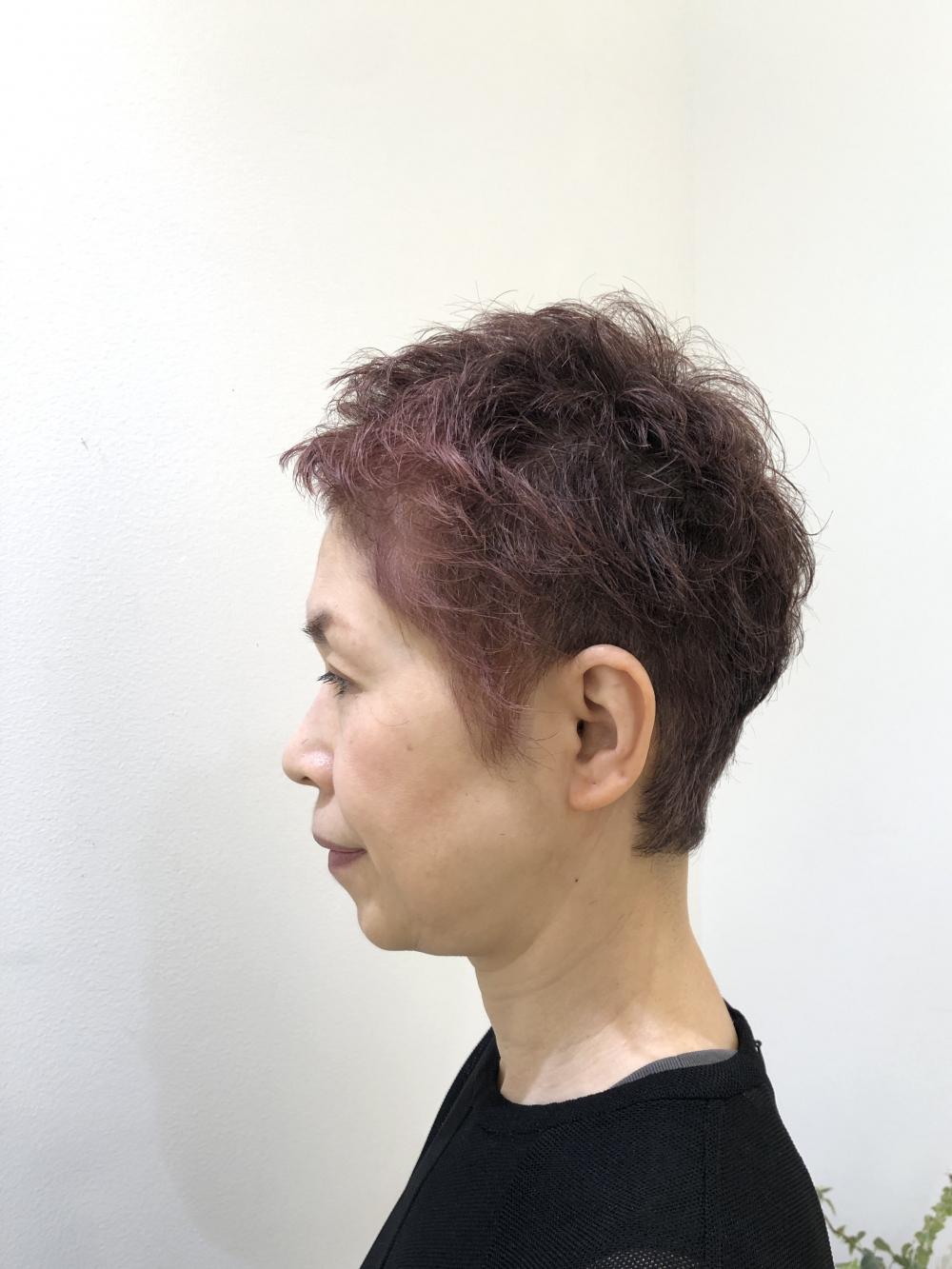 ショート