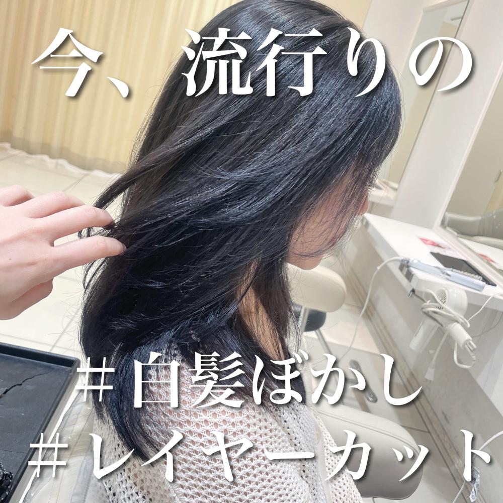 ＼今、流行りのレイヤカット×白髪ぼかし／