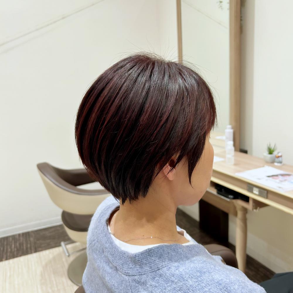 ピンクショート