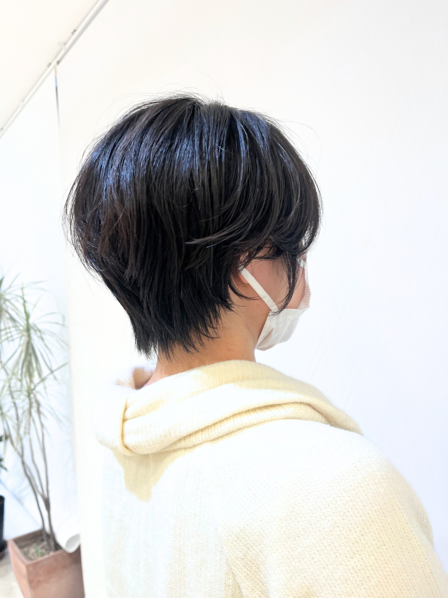 耳掛けショート