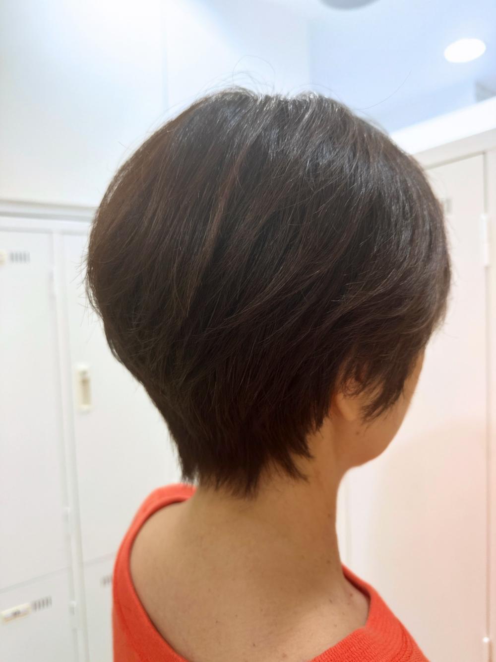 ショート