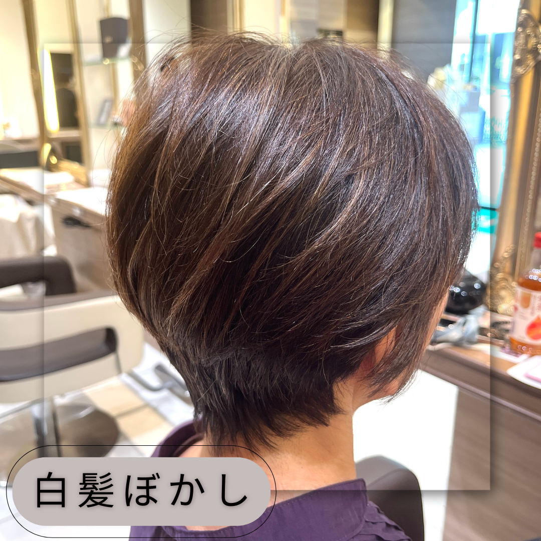 【家郷限定】白髪ぼかしカラー