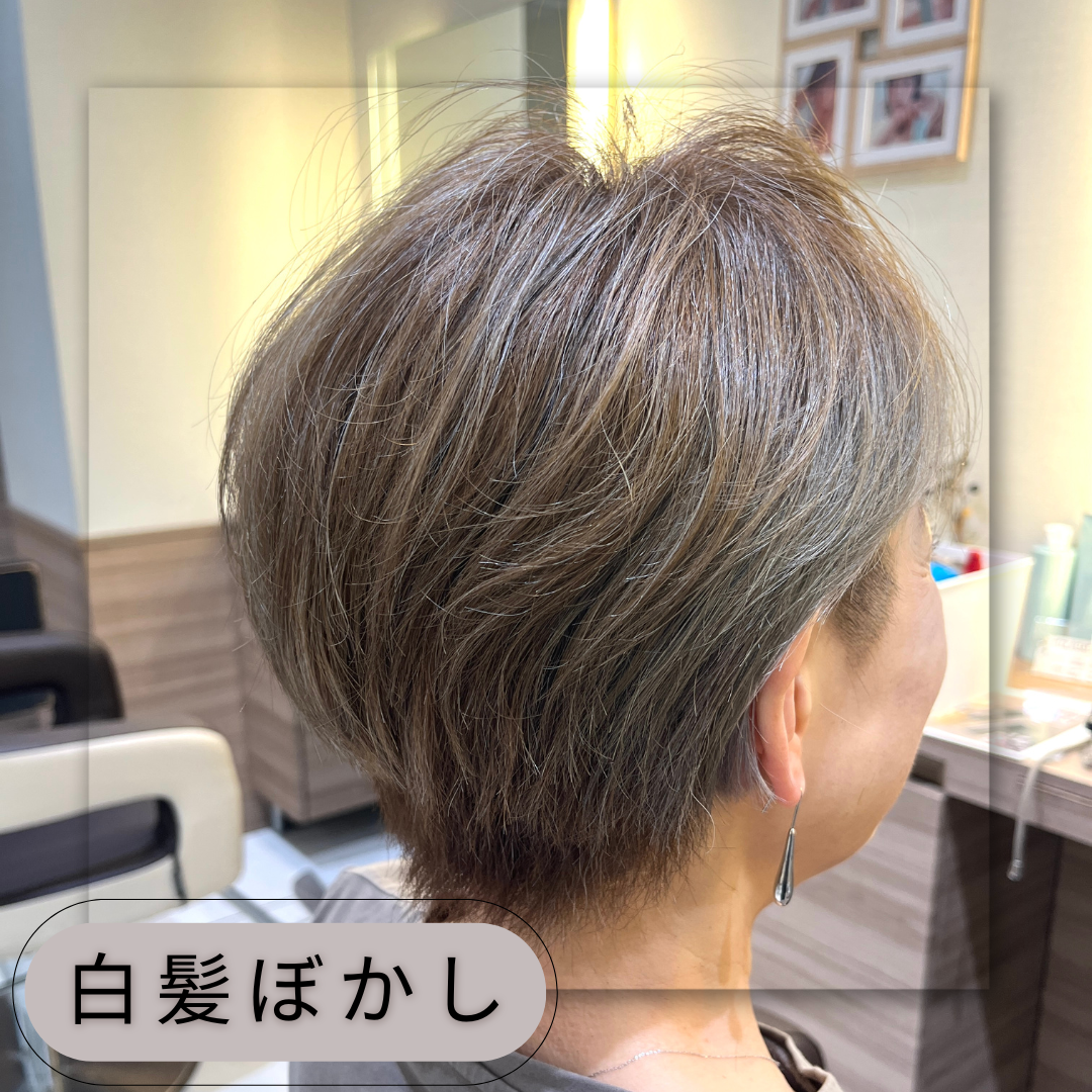【家郷限定】白髪ぼかしカラー