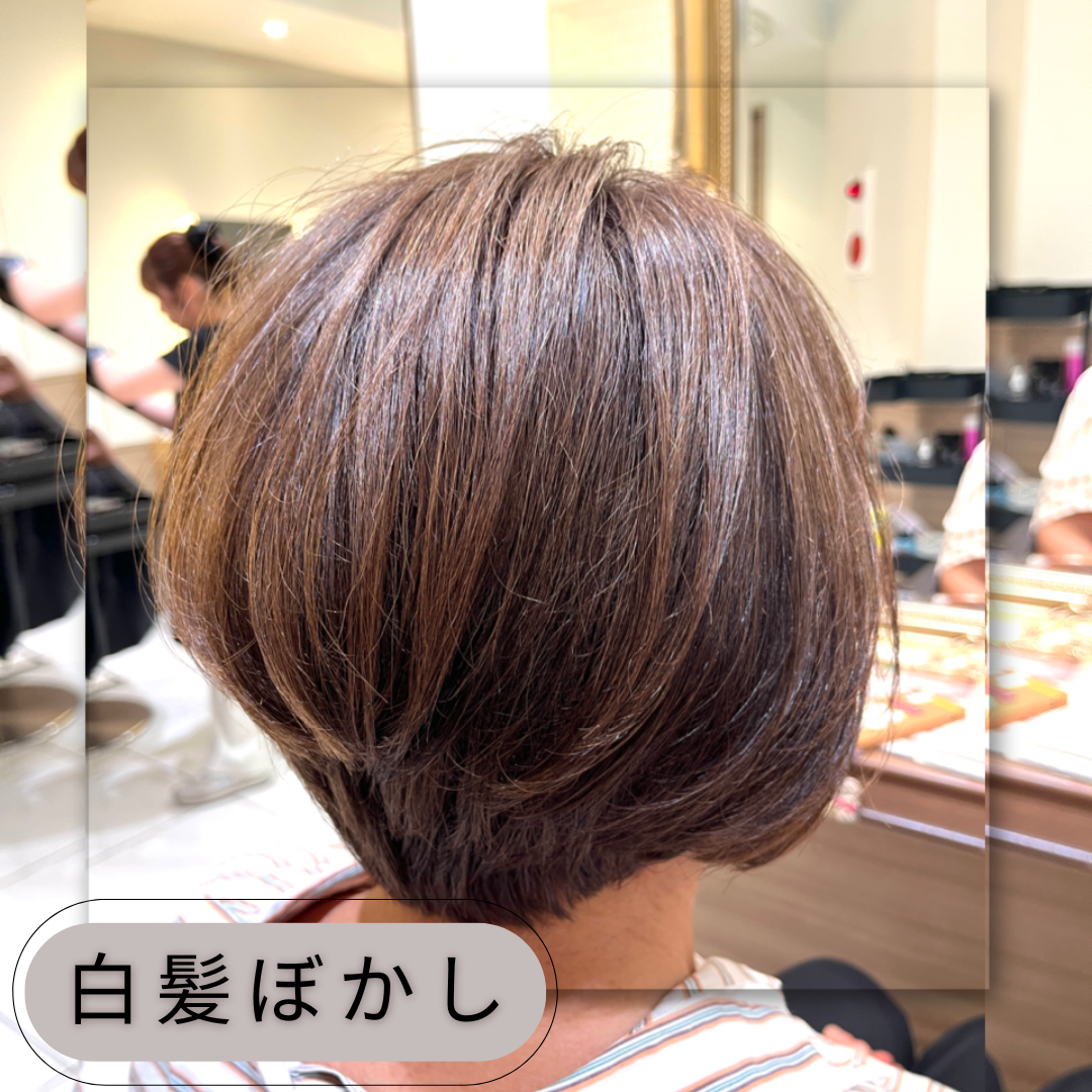 【家郷限定】白髪ぼかしカラー