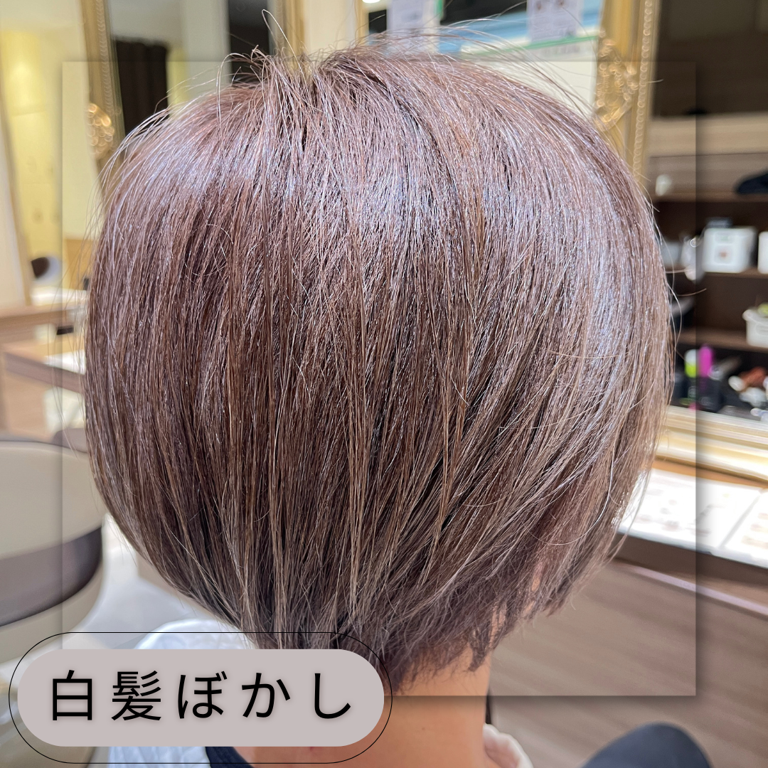 【家郷限定】白髪ぼかしカラー