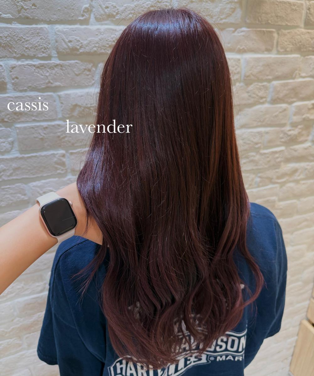 cassis lavender