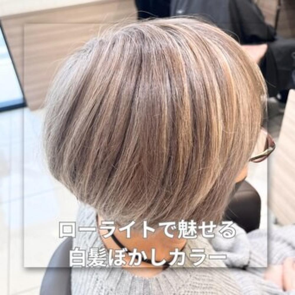 【家郷限定】ローライトで魅せる白髪ぼかしカラー