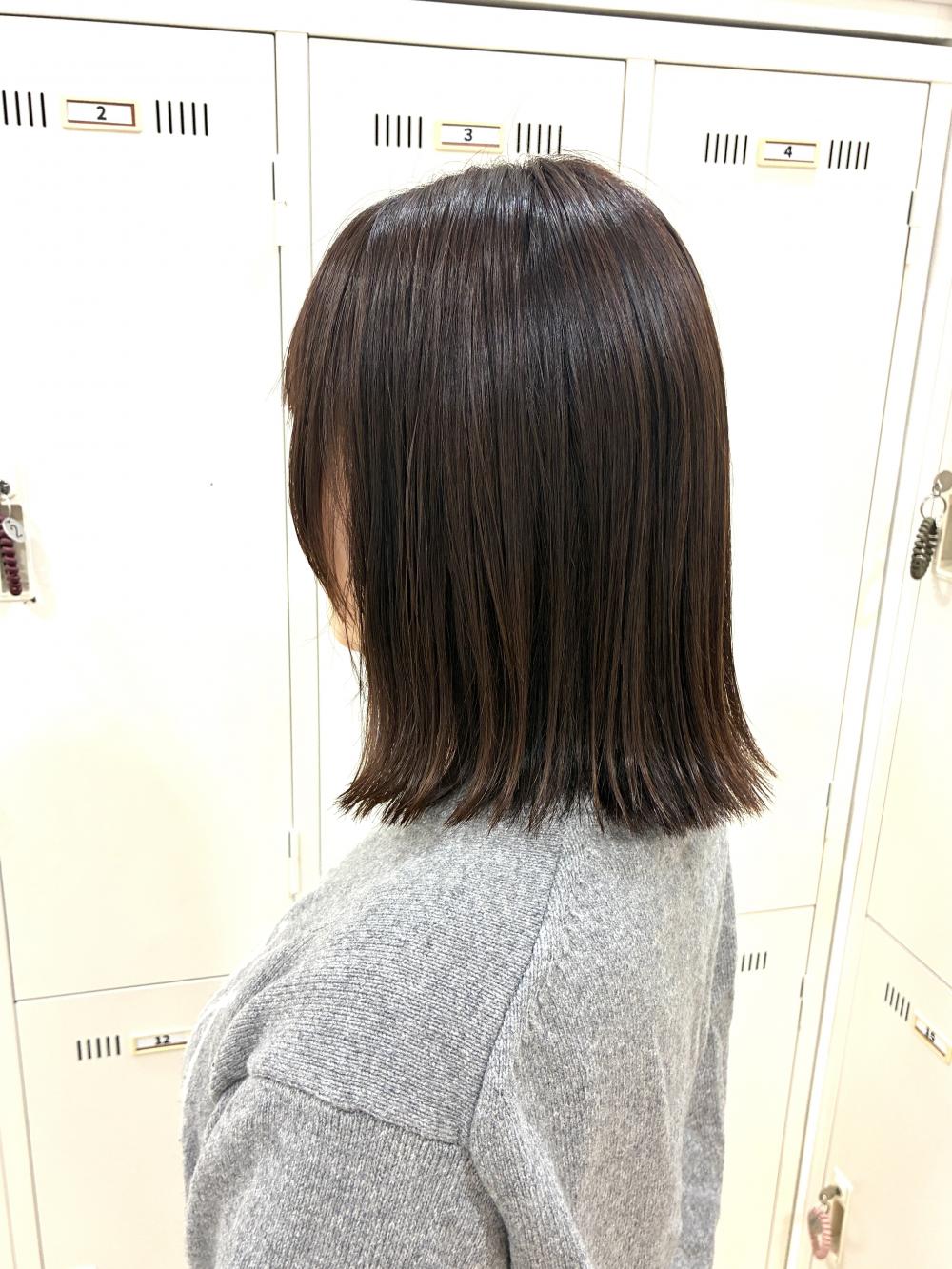 ロブ