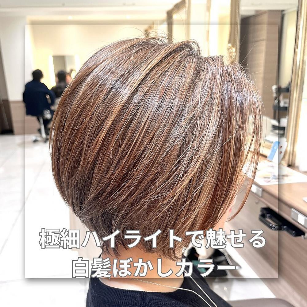 【家郷限定】極細ハイライトで魅せる白髪ぼかしカラー