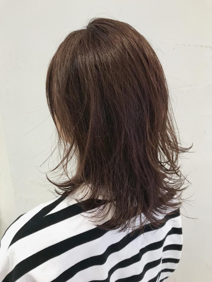 twilight×coral