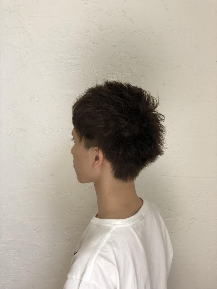 ショート×イルミナ｜サブ写真②