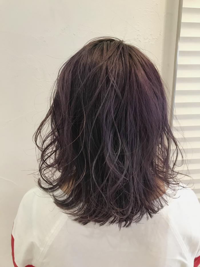 midnight purple