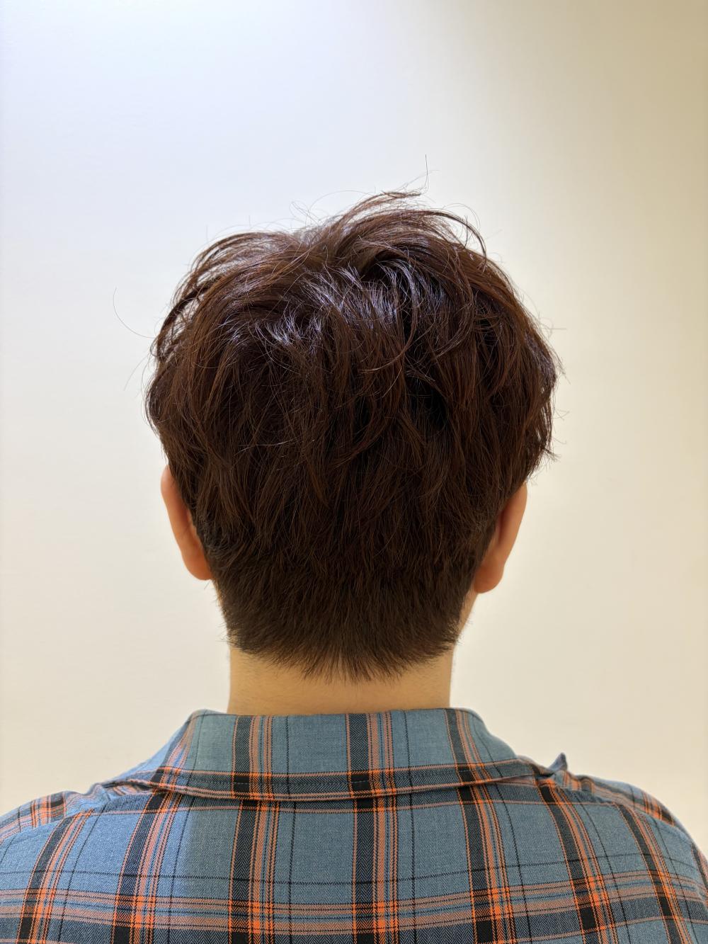 ショート