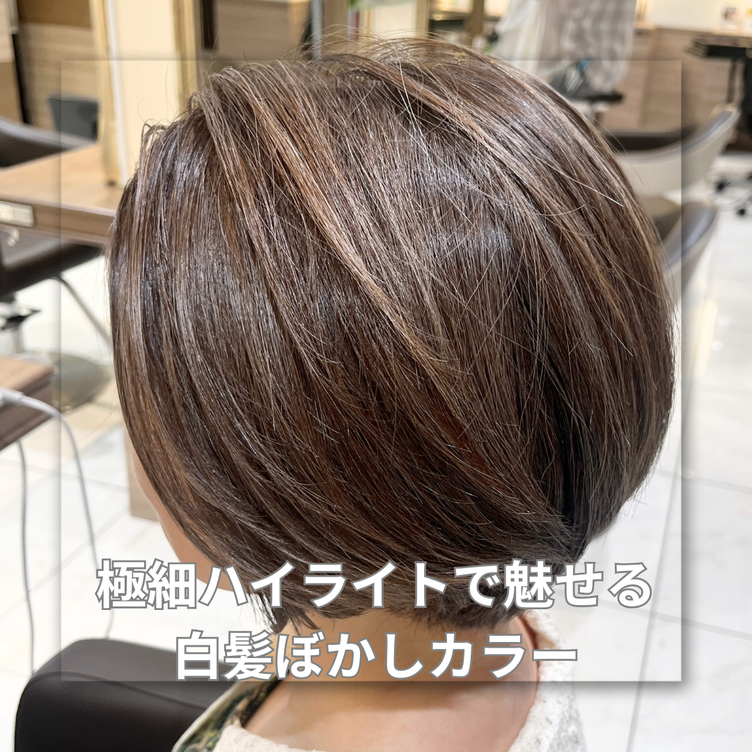 【家郷限定】極細ハイライトで魅せる白髪ぼかしカラー